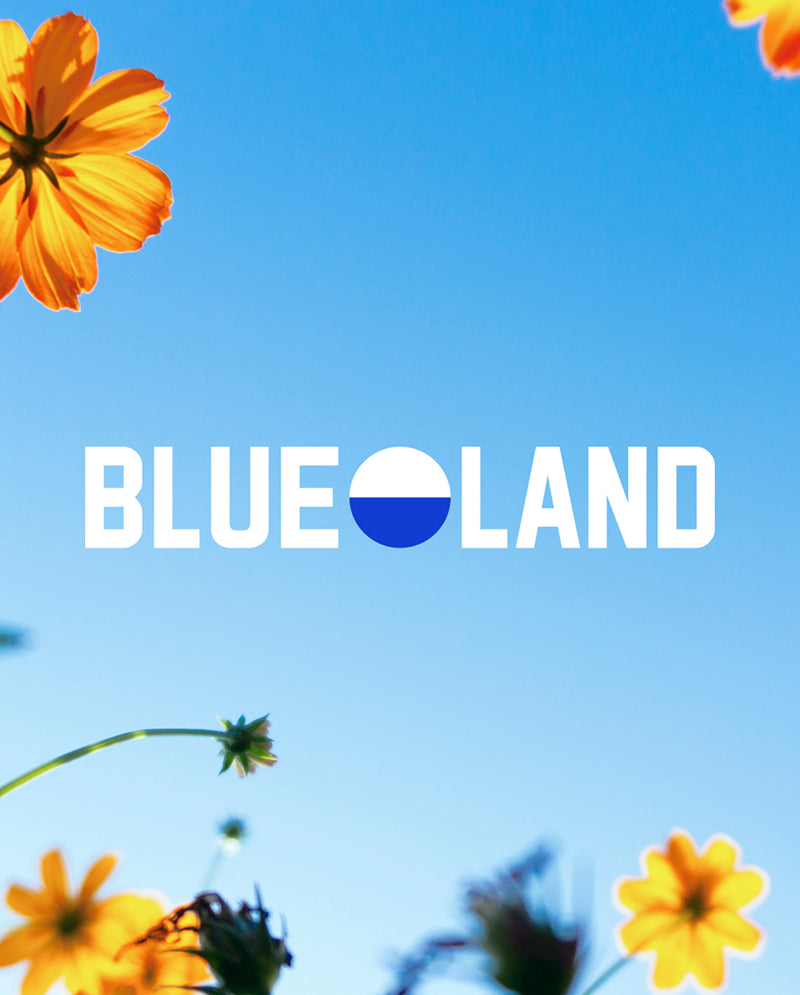 Blueland wordmark on a blue sky with flowers